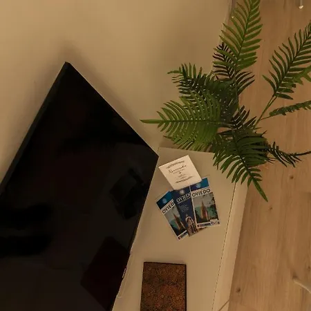 La Terraza De La Vega - Ubicacion Inmejorable , Wifi , Terraza Y Parking Gratuito דירה *