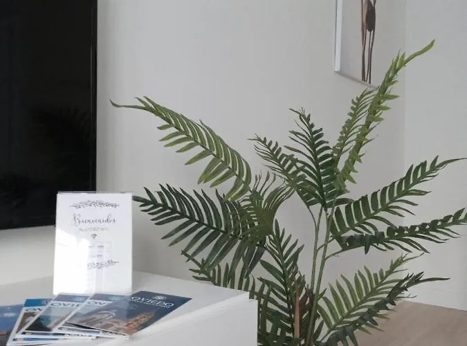 شقة La Terraza De La Vega - Ubicacion Inmejorable , Wifi , Terraza Y Parking Gratuito اوفيدو